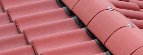 Dry Ridge & Dry Verge Systems