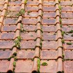 Professional Reading Roof Cleaning company