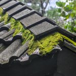 Experienced Roof Cleaning services in Reading