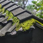 Experienced Roof Cleaning services in Swindon