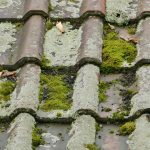 Licenced Swindon Roof Cleaning contractors