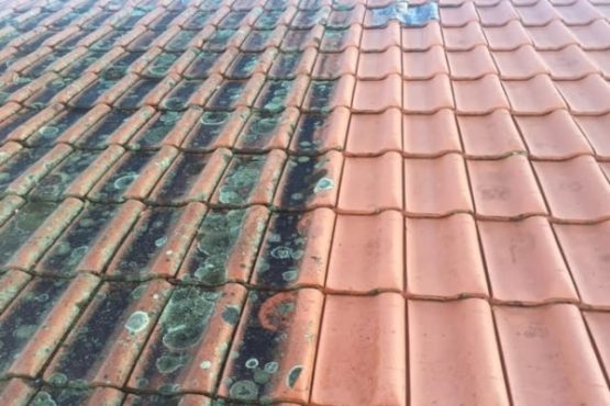 roof cleaning company in Reading