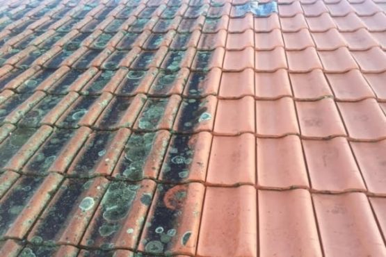 Tile Roof Cleaning Moss Removal roof cleaning company in Swindon